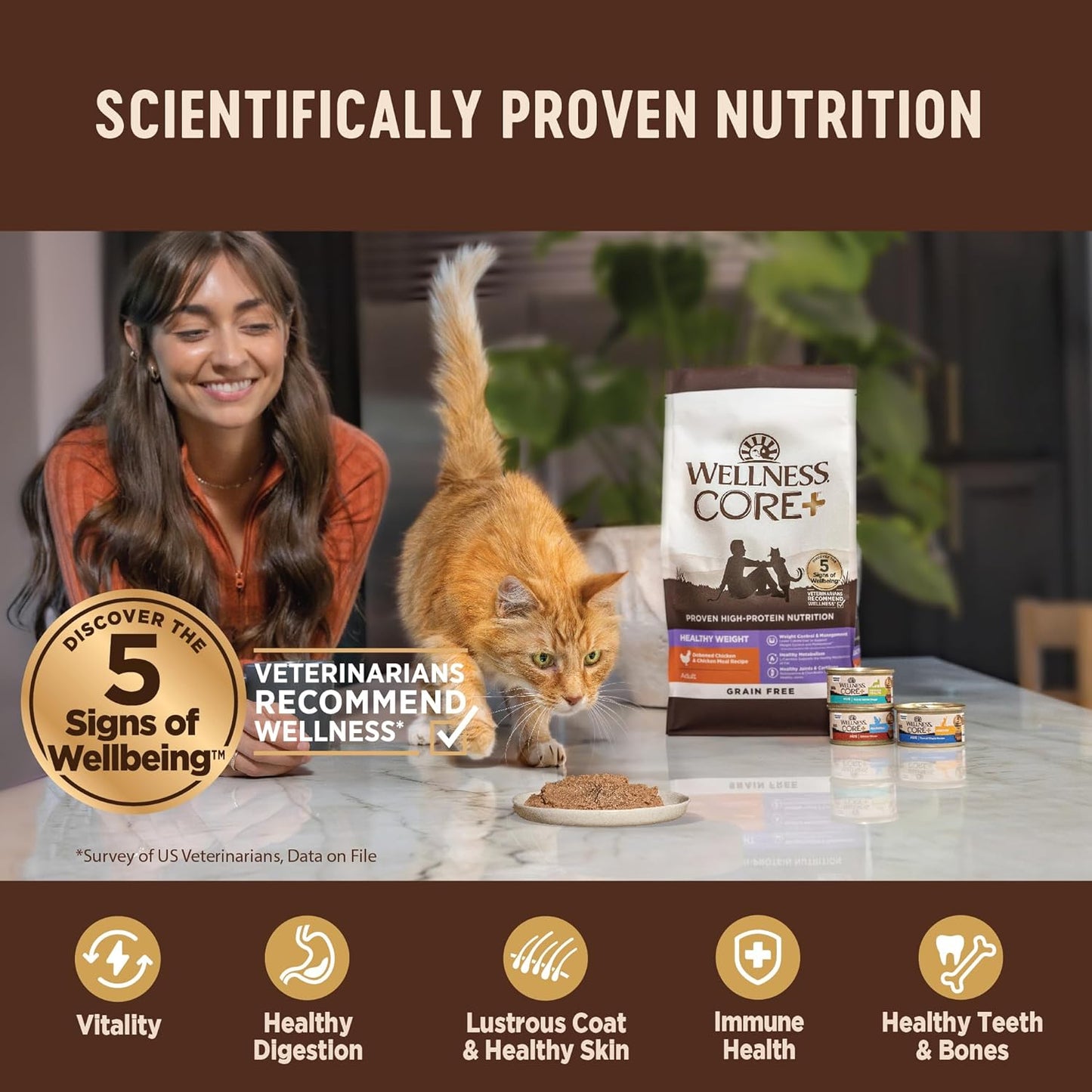 Wellness CORE+ Indoor Pate Adult Wet Cat Food, Natural, Protein-Rich, Grain Free, 2.8 Ounce, 12 Pack (Tuna & Tilapia)