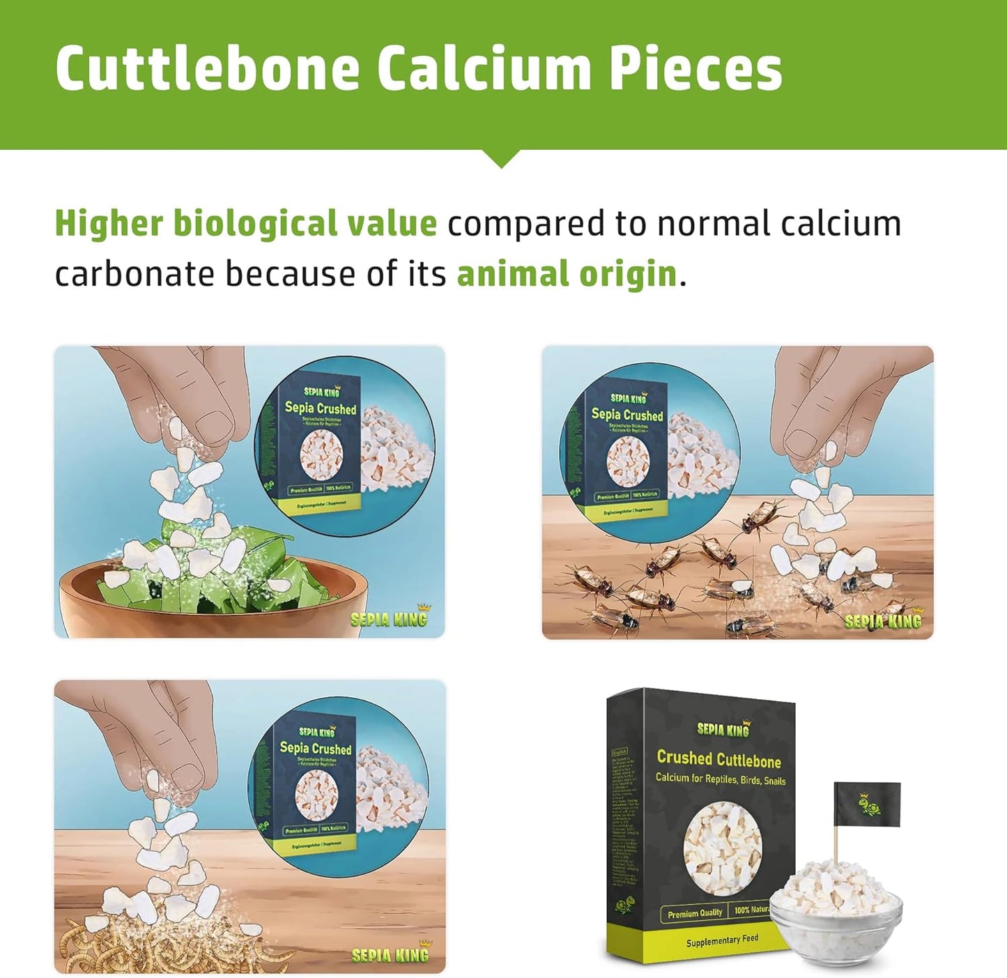 Crushed - 100% Natural Calcium Supplement - Premium Cuttlebone Perfect for Birds, Tortoises, Snails, Reptiles - 3.5 oz