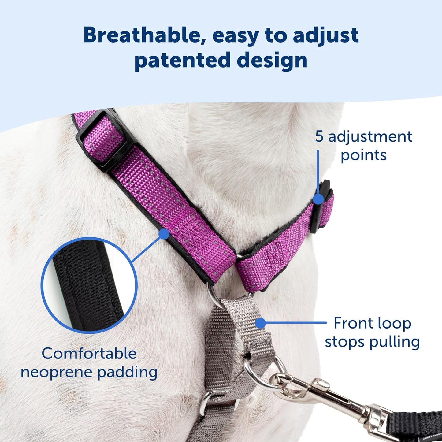 PetSafe 3 in 1 Dog Harness - No Pull Solution for Dogs - Reflective Dog Harness - Front D-Ring Clip Helps Stop Pulling - Comfortable Padded Straps - Top Handle Enhances Control - Plum - Large