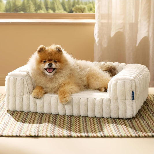 Bedsure Orthopedic Dog Bed for Small Dogs, Waterproof Memory Foam Small Pet Beds with Sides, Non-Slip Bottom and Egg-Crate Foam Medium Dog Couch Sofa with Washable Removable Corduroy Cover, Cream
