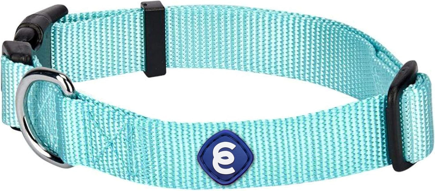 Blueberry Pet Essentials Matching Medium Adjustable & Durable Classic Solid Color Nylon Dog Collars for Medium Dogs | Mint Blue Collar for Girl & Boy Dogs