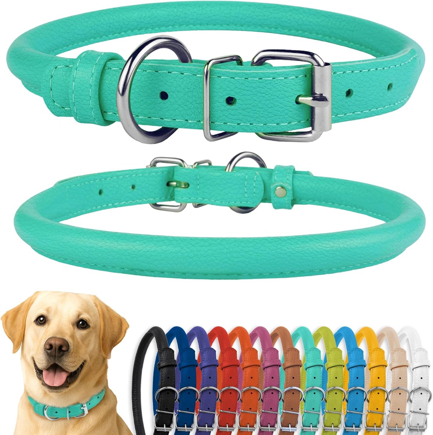 CollarDirect Rolled Leather Dog Collar, Soft Padded Round Puppy Collar, Handmade Genuine Leather Collar Dog Small Large Cat Collars 13 Colors (15-19 Inch, Mint Green Textured)