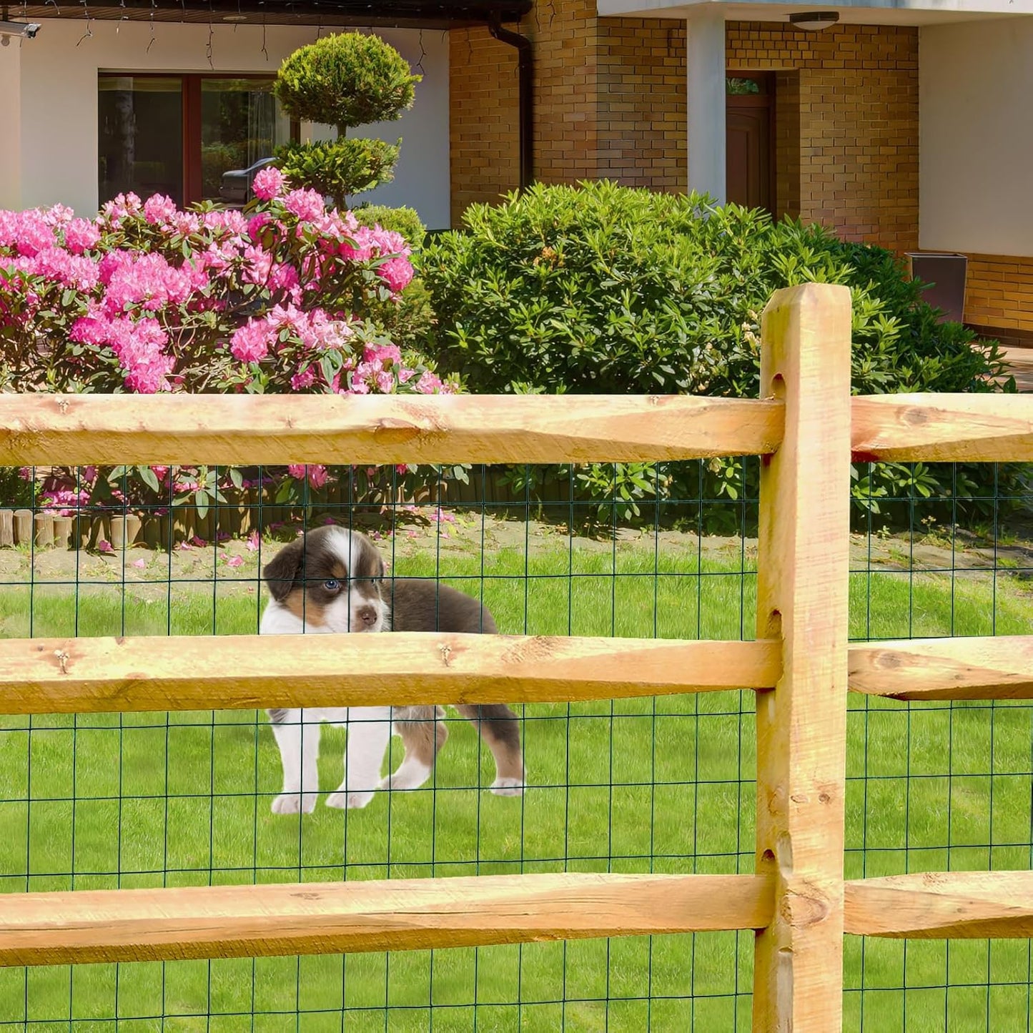 Green PVC Coated Welded Wire Fence 48 Inch x 25 Foot, 2 Inch x 3 Inch 16GA, Garden Border Fencing Roll Vinyl Coating Metal Wire Mesh for Yard Vegetable Plant Protection Poultry Netting