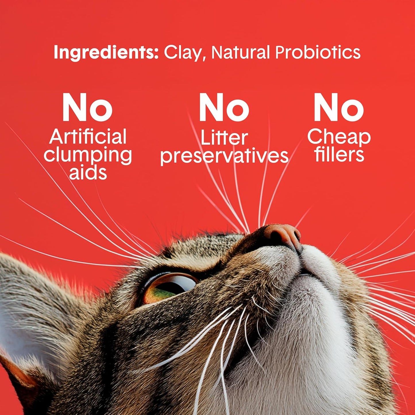 Boxie® Extra Strength 35 Day Odour Control Clumping Clay Cat & Kitty Litter 16lb, 99.9% Dust-Free, Probiotic Formula, Long-Lasting, Veterinarian Approved, Easy Scooping for Multi-Cat Homes