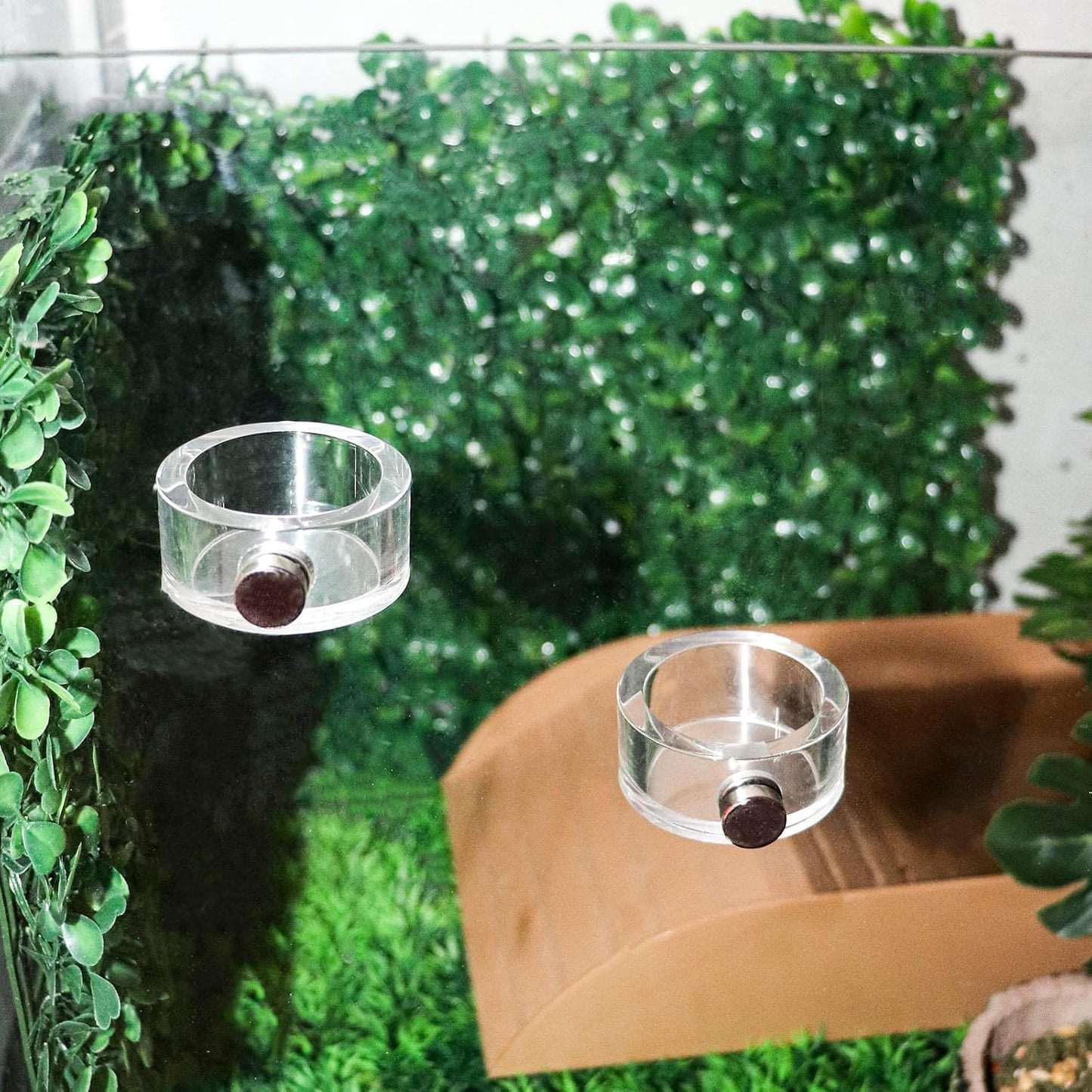 2 Pack Jumping Spider Enclosure Accessories, Leak-Proof Jumping Spider Feeding Dish with Magnet, Acrylic Water Bowl for Jumping Spider, Tarantula, Mantis, Other Small Reptiles or Insects