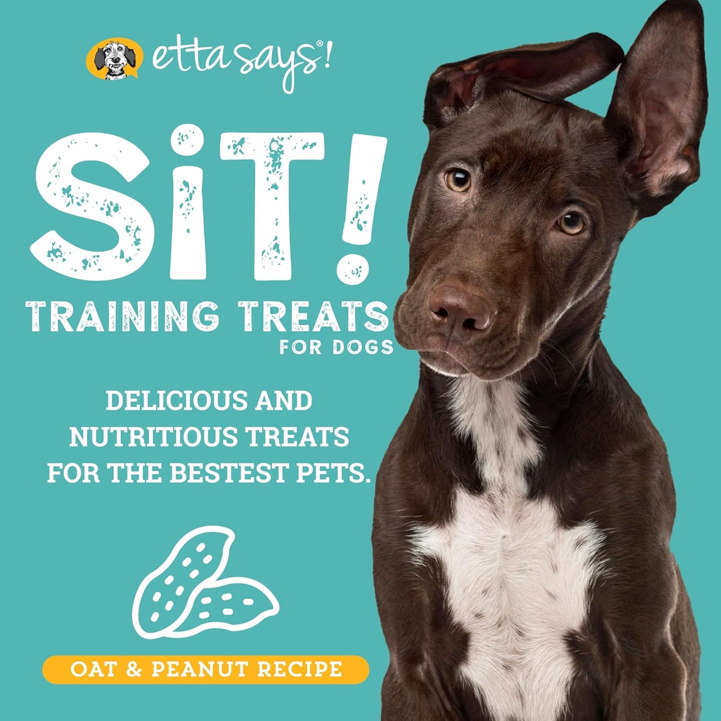 etta says! Training Treats - All Natural Peanut Butter Soft Treats for Dogs - Made in The USA (16 Oz Pack of 1)