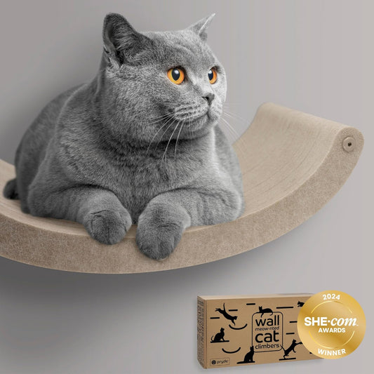Wall Mounted Cat Hammock Bed by Pryde Pets - Floating Perch Curved Shelf, 100% Sustainable PET Felt Feline Enrichment Climber Furniture for Indoor Cats, Modern Climbing Gym Jungle Design (Oatmeal)