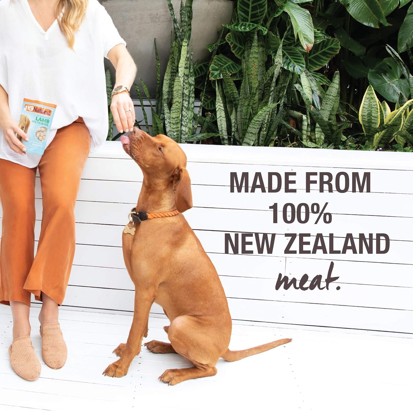 K9 Natural, Freeze-Dried Single Ingredient Dog Treats, High-Value, Low-Calorie Protein Bites for Active Dogs, Healthy Dog Training Treats, Grain-Free Reward, Chicken, 1.76oz (Pack of 2)