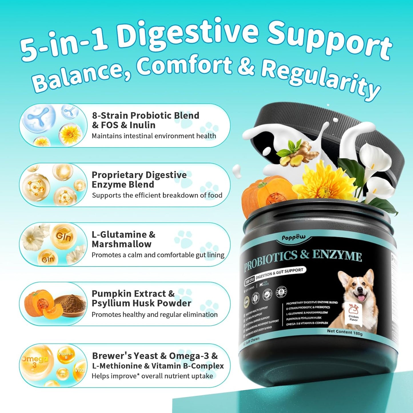 Probiotics for Dogs, Digestive Enzymes for Gut Health Support, Dog Fiber Supplement with Pumpkin for Diarrhea & Bowel Support, Upset Stomach & Gas Relief, Constipation - 60 Count Chicken Flavor