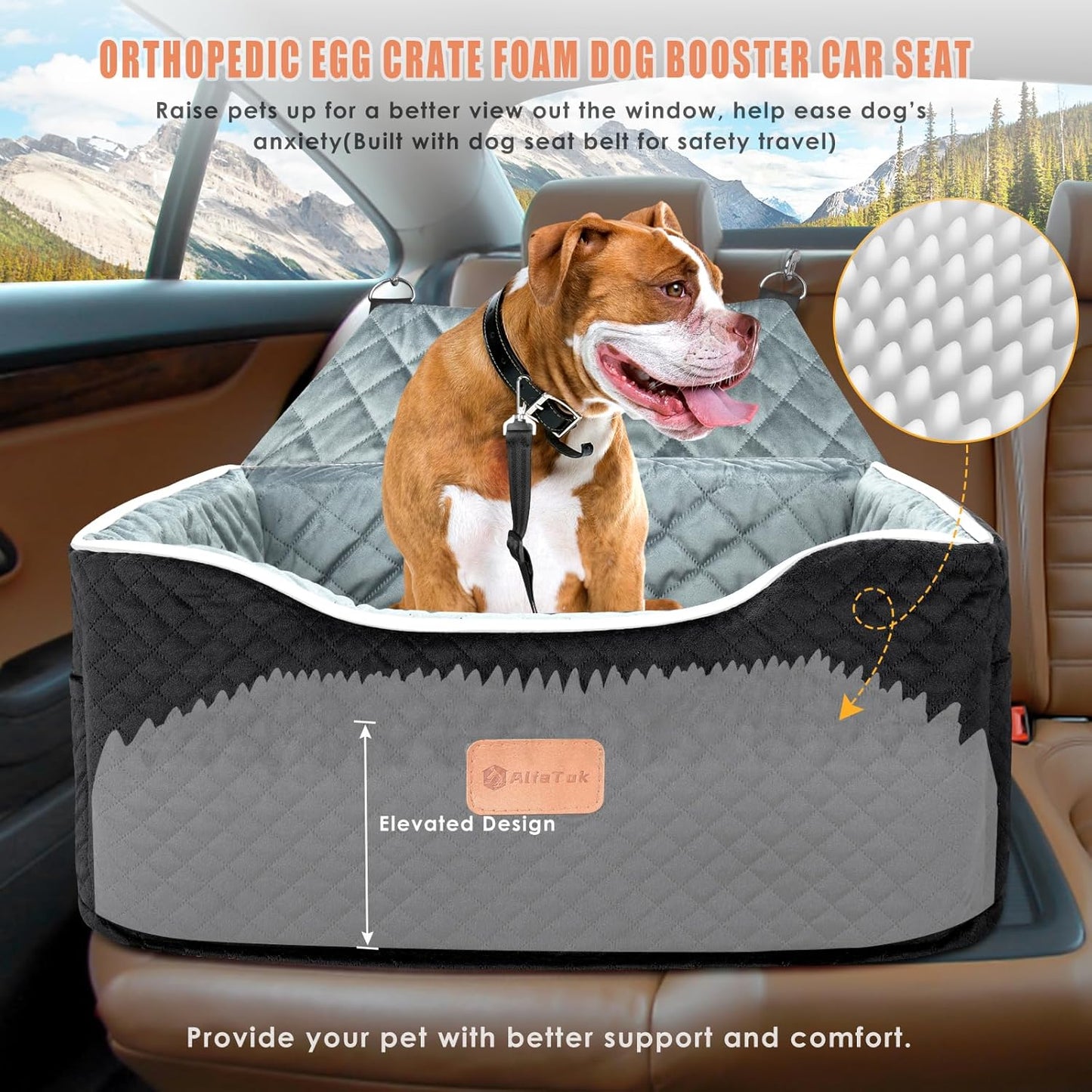 Memory Foam Booster Dog Car Seat for Medium Dogs (Under 45LBS): Elevated, Detachable Washable, Anti-Slip, for Car Back Seat, Travel Pet Bed with Seat Belt