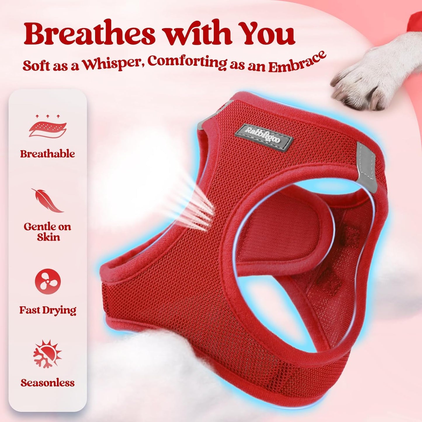 rabbitgoo Dog Harness Small Sized and Leash Set, Step in Soft Light Puppy Vest, Breathable Mesh Pet Harness, Reflective for Safe Easy Walking, Red XXS