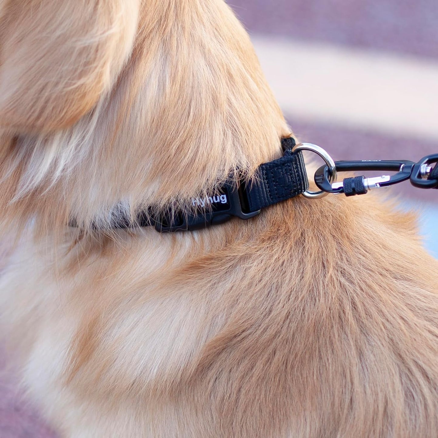 Hyhug Dog Collar with Quick Release Buckle, Heavy Duty Nylon, Basic Collar for Medium Dogs Daily Use Walking Jogging(Medium, Black)