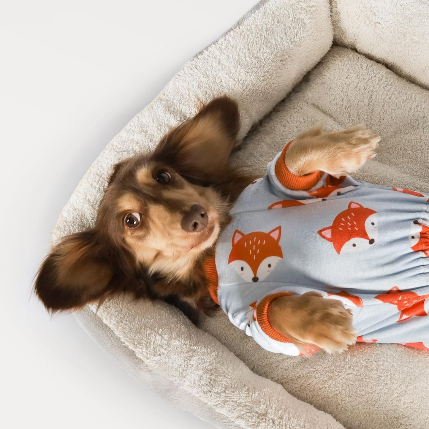 Fitwarm Funny Fox Dog Pajamas, Warm Dog Onesie, Dog Clothes for Small Dogs Girl Boy, Lightweight Velvet, Pet Outfit, Gray, Orange, Medium