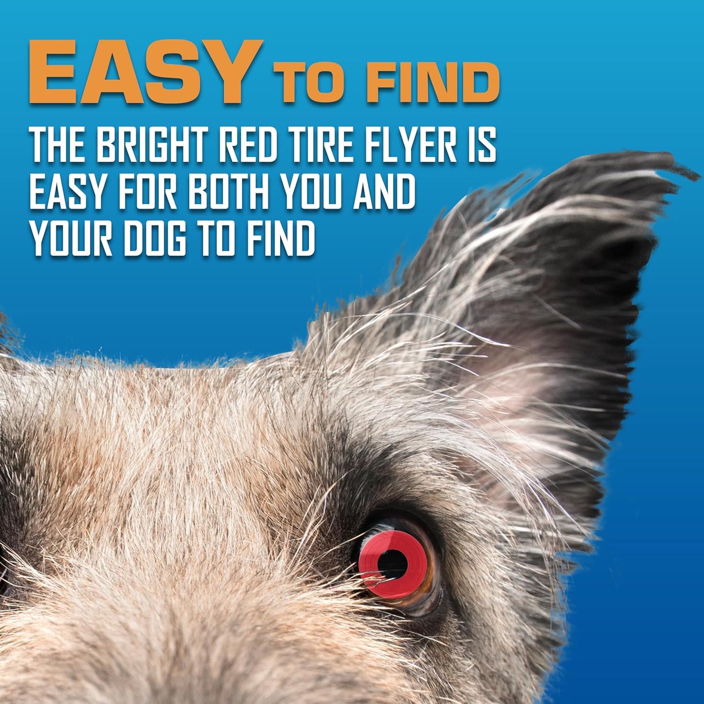 Nerf Dog Atomic Flyer Outdoor Dog Toy, 10 Inch Flying Disc Dog Fetch Toy, Rubber Dog Toy for Medium Dogs and Large Dogs, Red