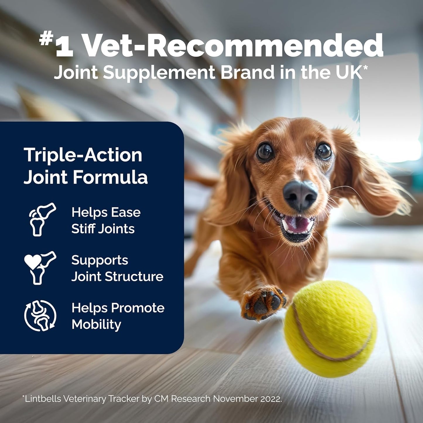 YuMOVE Hip & Joint Supplement for Dogs with Glucosamine, Hyaluronic Acid, Green Lipped Mussel & Omega 3 Joint Supplement - Regular or Advanced Strength (120ct, Chewable Tablets)