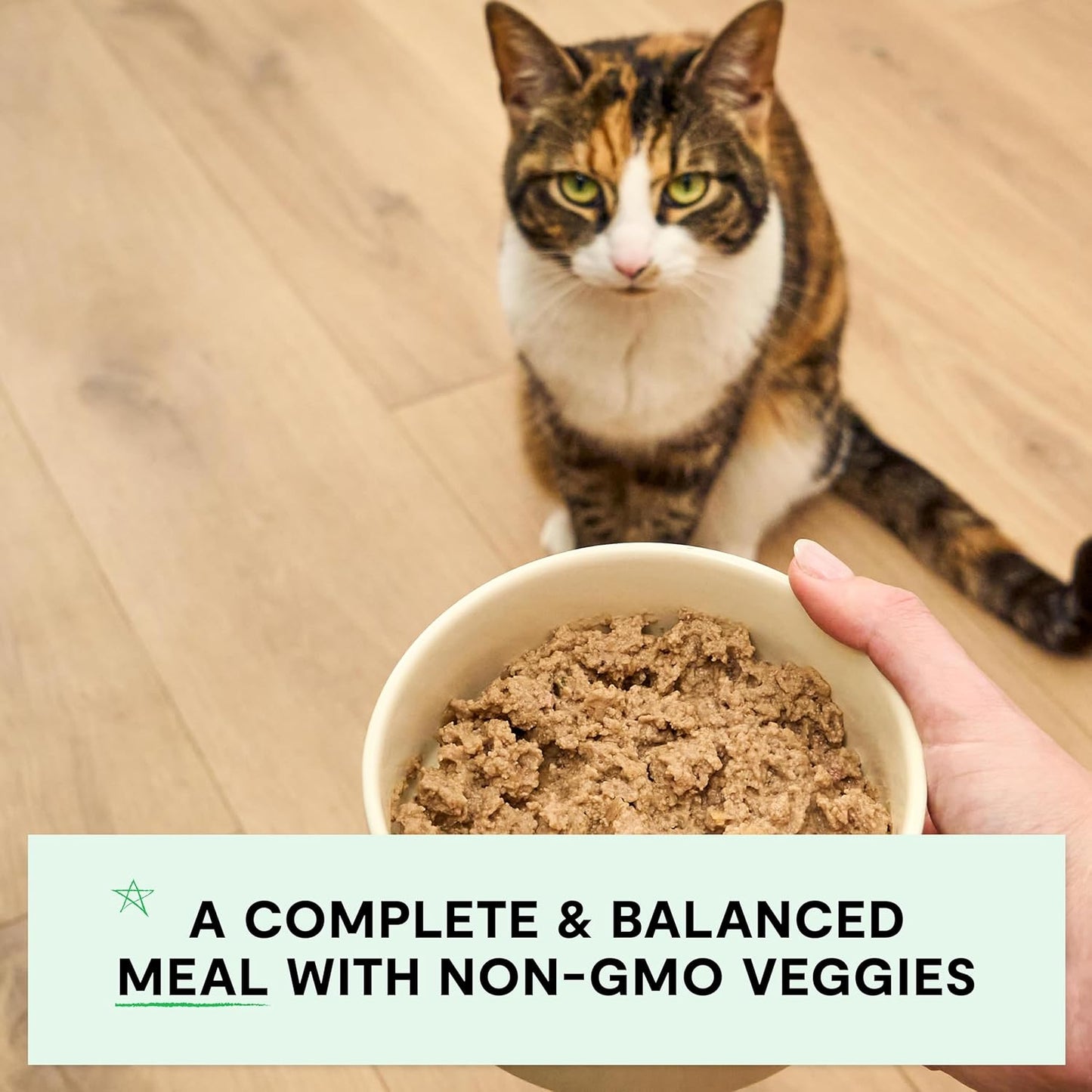 Open Farm Canned Cat Food, Paté for Complete & Balanced Nutrition, Grain-Free and Legume-Free Wet Cat Food, Chicken & Salmon Recipe, 2.8oz Cans (Case of 18)