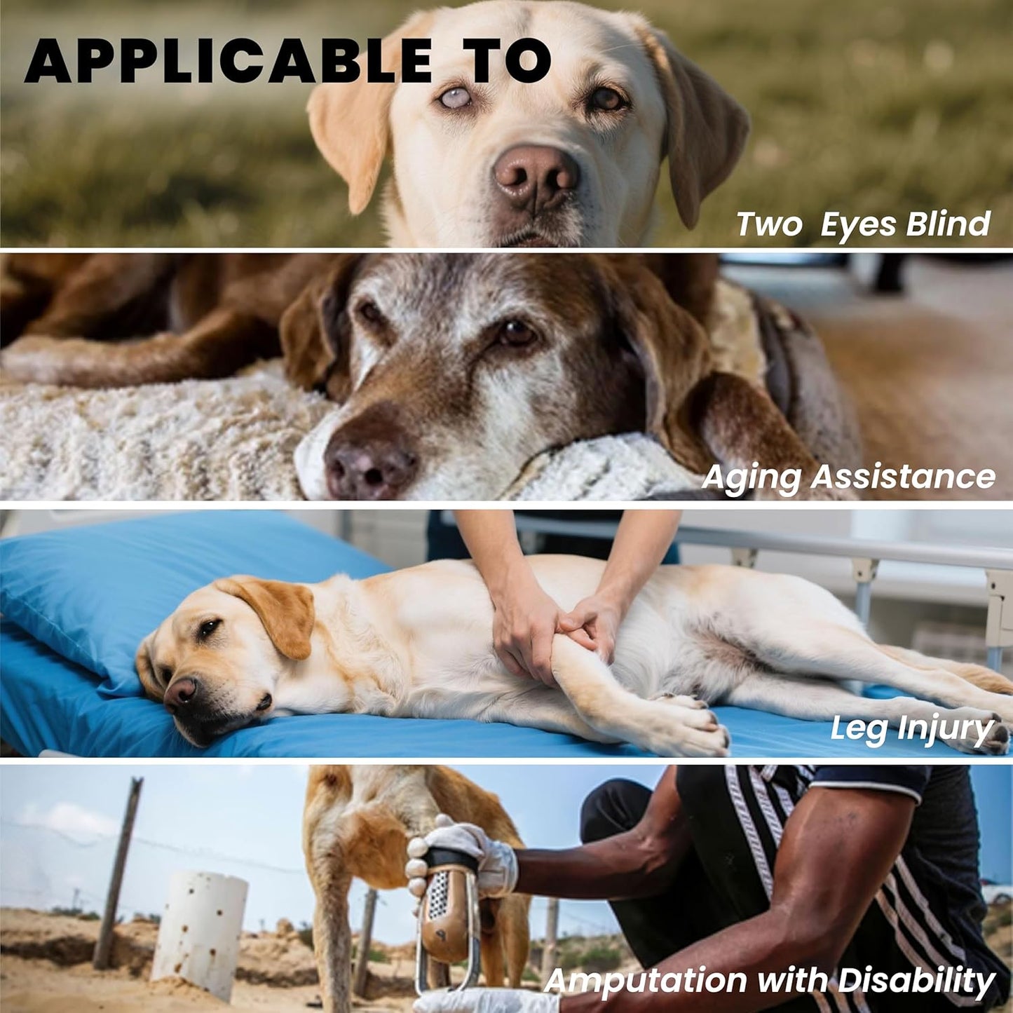 Dog Lift Harness Backpack Carrier for Large Dogs, Full Body Sling with Handle, Dog Harness for Joint Injuries, Arthritis, Ideal for Stairs, Elderly Dogs (Black S/M-Large 14-20 LBS)