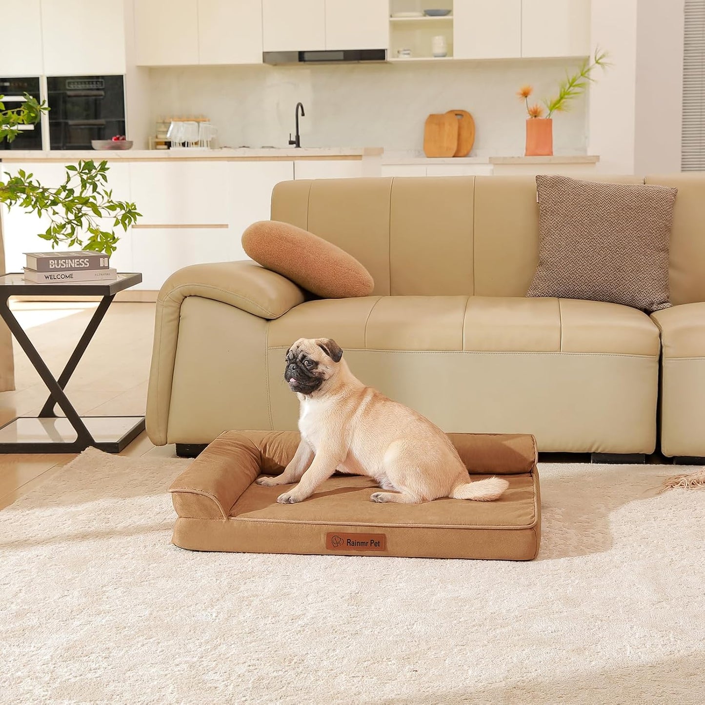 Upgraded Medium Dog Bed, 3" Memory Foam with Waterproof Liner, Chew Resistant Microsuede Cover, Removable and Washable, for Indoor, Outdoor, and Car Use, Nonskid Base, 35x23 Inches M Khaki