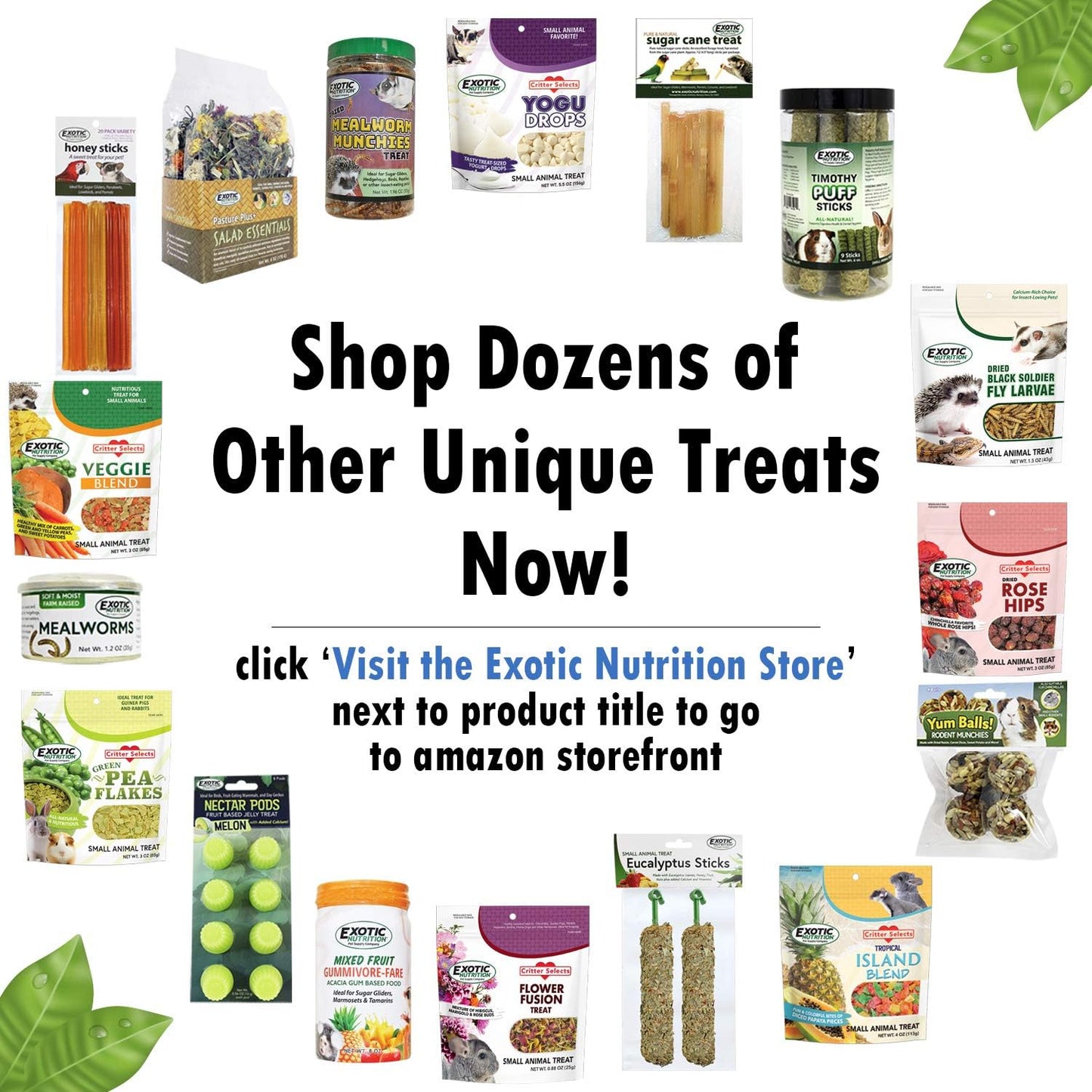 Flower Fusion Treat (1/2 lb) - Healthy Natural Dried Flower Herbivore Treat - Chinchillas, Guinea Pigs, Rabbits, Prairie Dogs, Degus, Hamsters, Rats, Squirrels, Sugar Gliders & Other Small Pets