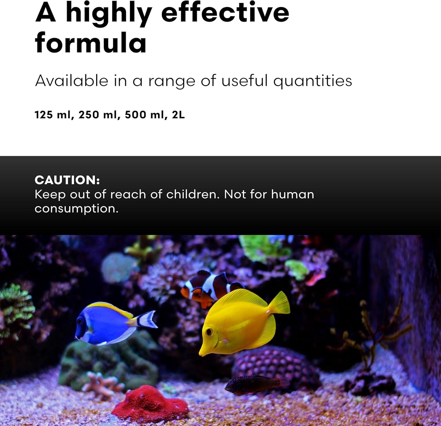 Brightwell Aquatics Vitamarin-M – Complete Vitamin Supplement for Marine Fish, Corals & Invertebrates – Supports Growth, Color & Immune Health – No Refrigeration, 250 ml