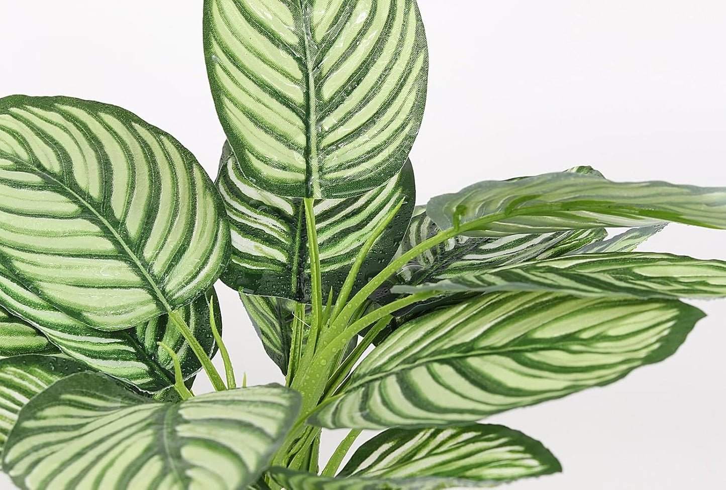 Reptile Terrarium Plants, Bearded Dragon Tank Decor Accessories for Ball Python Leopard Gecko Tree Frog Tarantula Lizard Corn Snake Tortoise Chameleon Crested Gecko - Fake Goeppertia White