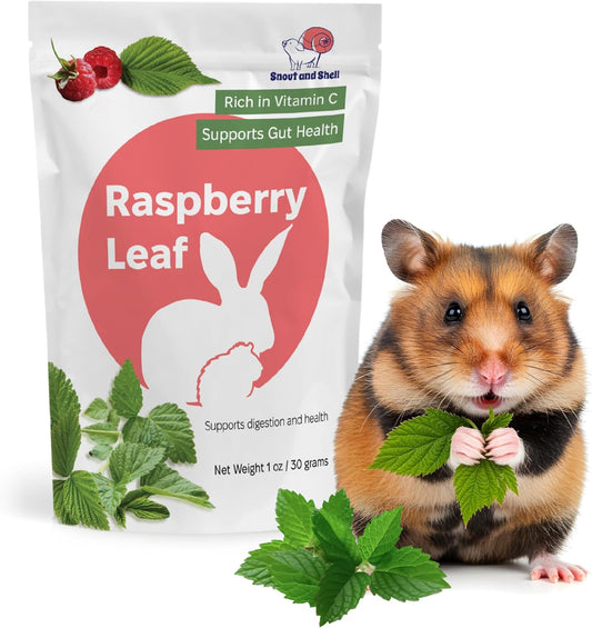 Snout and Shell Raspberry Leaf for Small Pets – 100% Natural Treat for Rabbits, Guinea Pigs, Hamsters & More – Rich in Vitamin C & Supports Gut Health – 1 oz (30g)