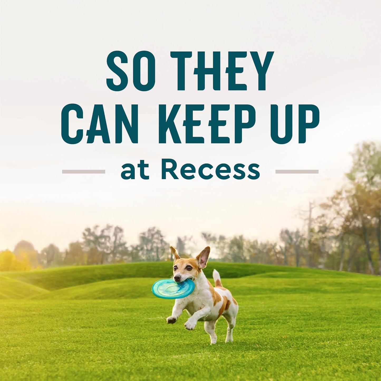 VetIQ Glucosamine Hip & Joint Supplement for Dogs, 180 Soft Chews, Dog Joint Support Supplement with MSM and Krill, Dog Health Supplies Large & Small Breed, Chicken Flavored Chewables