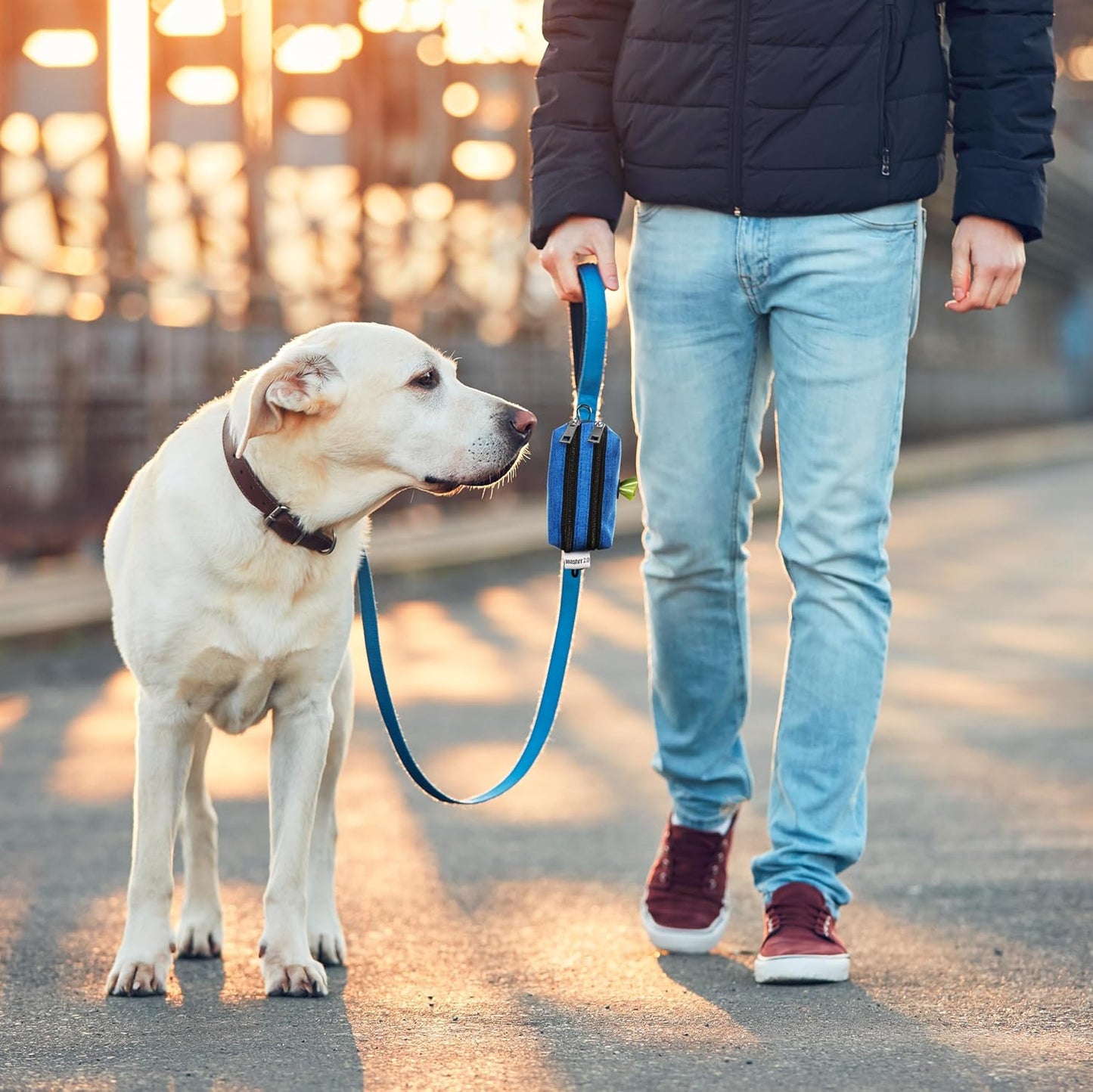 Dog Poop Bag Holder for Leashes - Dog Poop Bag Dispenser and Treat Holder with 2 Waterproof Pouches for Pet Waste Bags and Walking Accessories + 1 Free Roll - Leashrr 2.0 (Black)