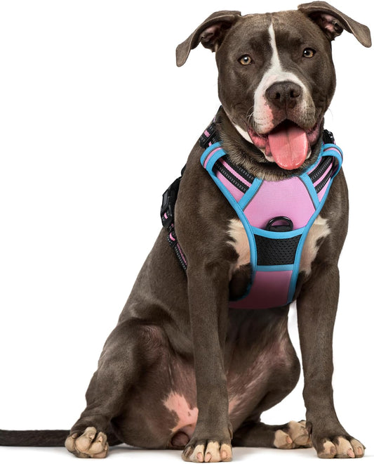 rabbitgoo Dog Harness No Pull with 2 Leash Clips, Adjustable Soft Padded, Reflective Oxford No Choke Pet Vest with Easy Control Handle for Large Dogs, Pink & Blue, L