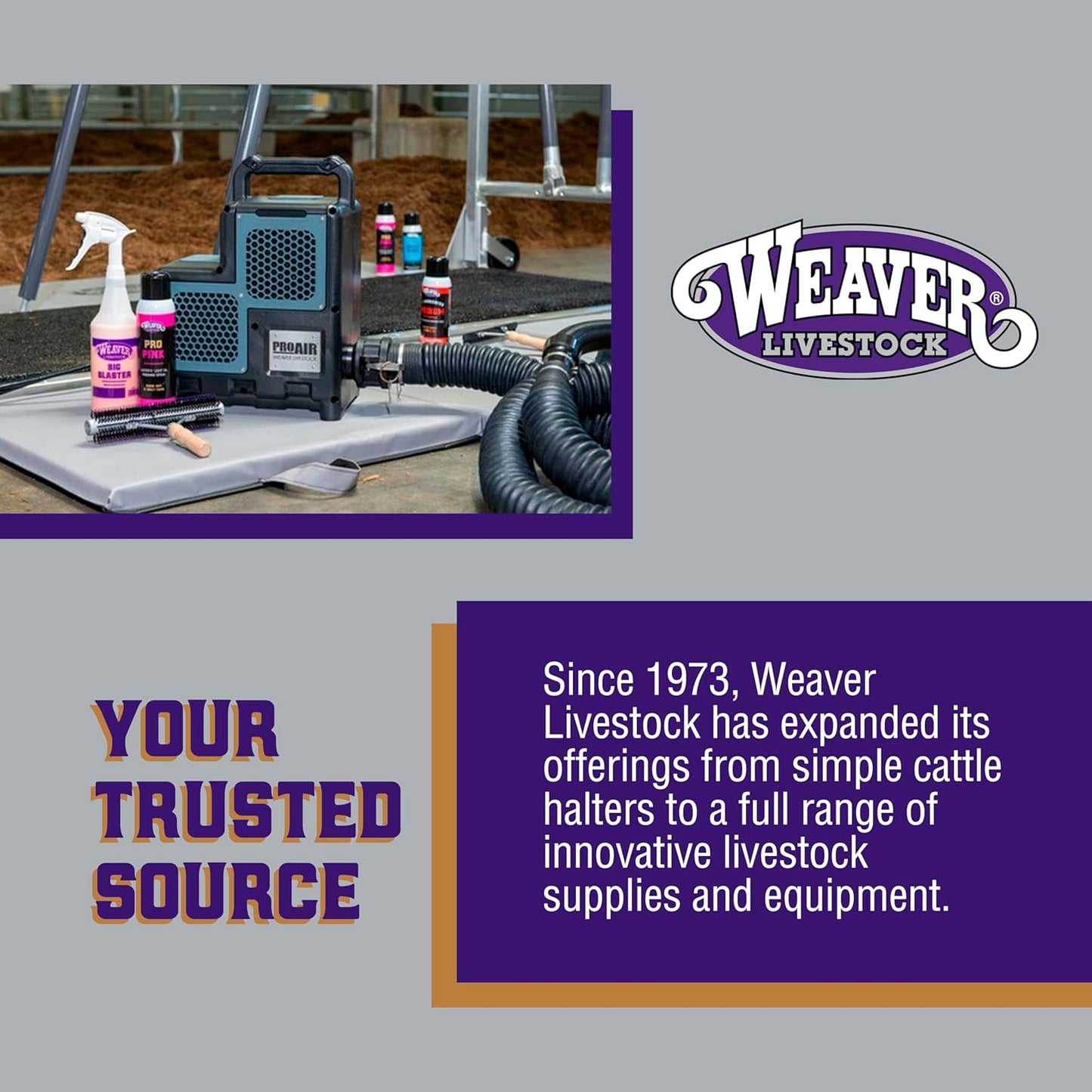 Weaver Livestock Braided Poly Rope Cattle Halter, Adjustable Style Cow Calf Halter, Livestock Handling Equipment for Showing, Hot Pink/Coral/Mint