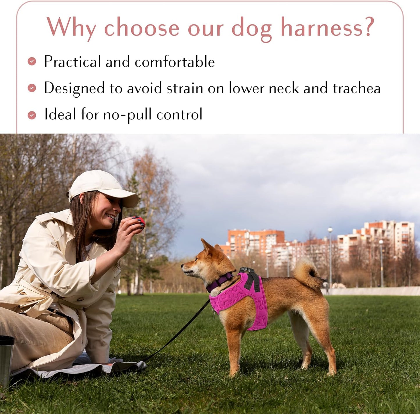 Comfort Fit Dog Harness Soft Padded No Pull Harness with Adjustable Buckles for Small Medium Large Dogs Step in Pet Vest with Easy Control Handle for Walking Jogging Running Training Dogs & Puppies