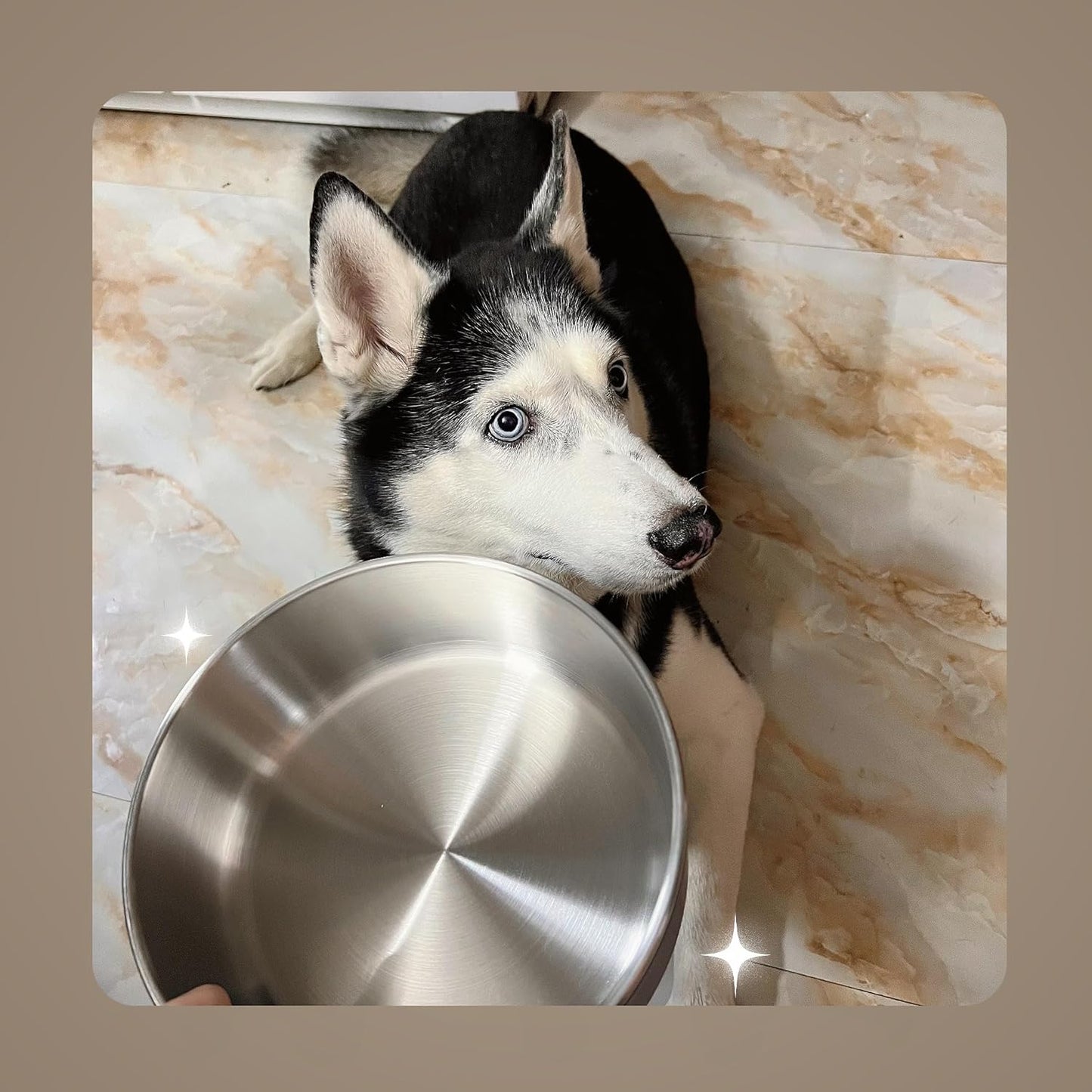 IKITCHEN Dog Bowl for Food and Water, 40 Oz Stainless Steel Pet Feeding Bowl, Durable Non-Skid Insulated Heavy Duty with Rubber Bottom for Medium Large Sized Dogs (40 Ounces/5 Cup, Grey)