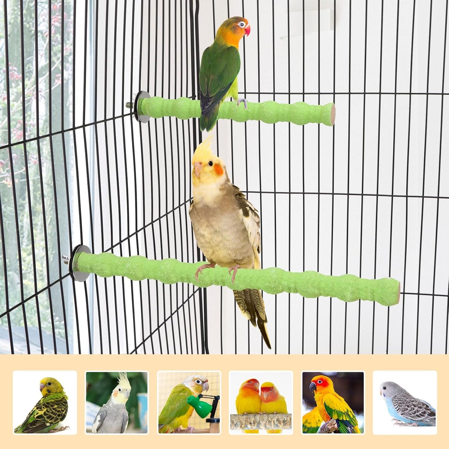 Hypeety 2PCS Bird Wood Perch Stand Parrot Paw Grinding Stick Toy Pet Bird Cage Stand Platform for Bird Parrot Budgies Parakeet Cockatiels Cage Accessories (7in/10in) (Green)