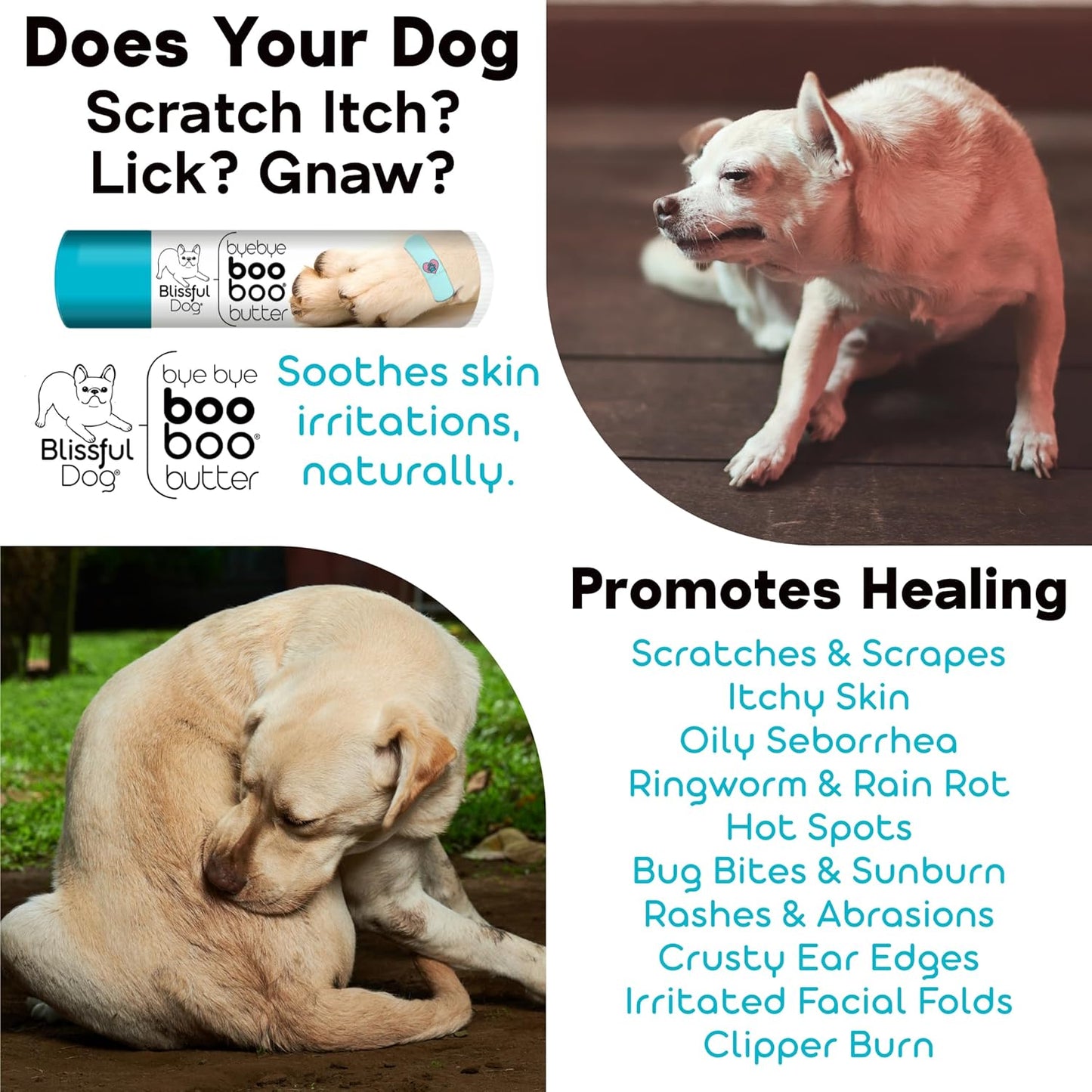 The Blissful Dog 2 oz TIN Beagle Booboo Butter