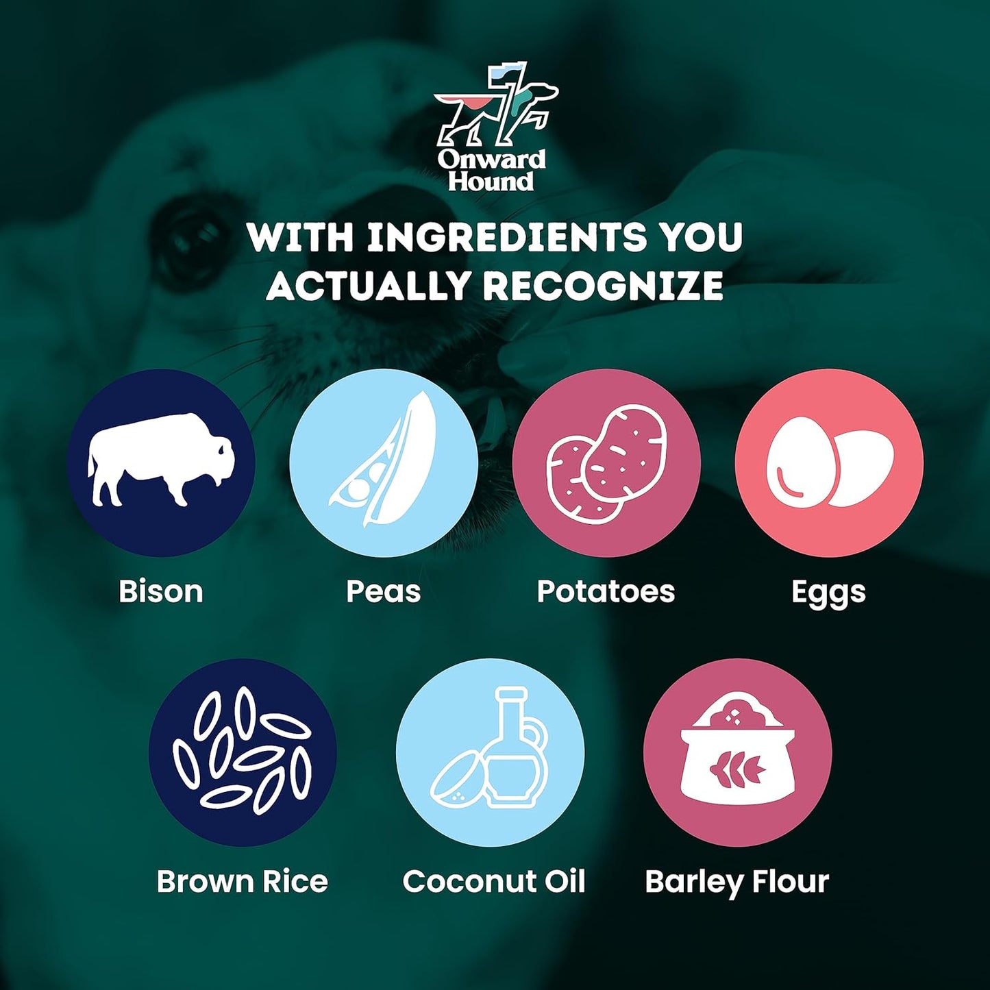 Onward Hound Training Treats for Dogs - Soft Bison - Low Calorie Dog Training Treats for Sensitive Stomachs with Single Source Premium Protein, Corn Free, & Soy Free Formula - 10 oz