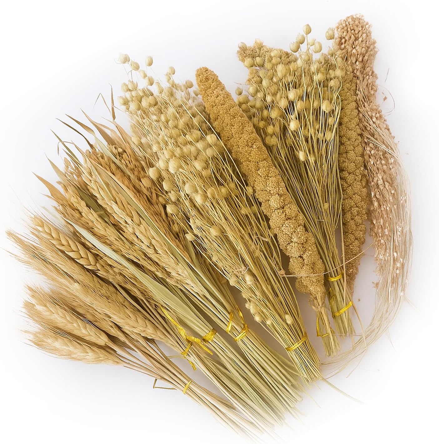 ZIPPYPET Hamster Sprays and Forage Accessories for Cages, Pet Mouse Decor Textures (5)