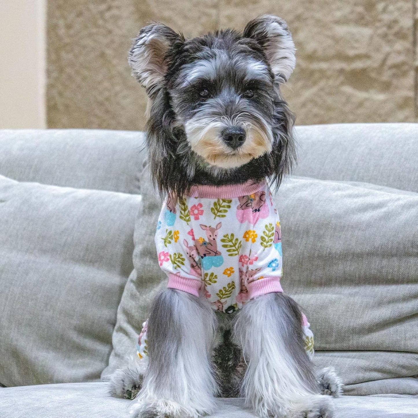 CuteBone Small Dogs Outfit Soft Puppy Onesies Pjs Dog Pajamas Pet Coat Cat Apparel Comfy Doggie Jumpsuit Bodysuit for All Seasons P286L