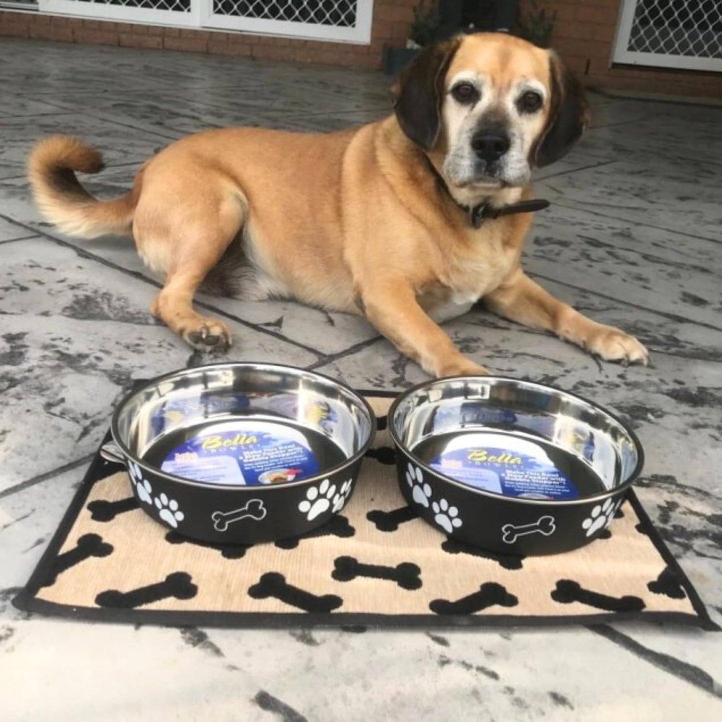 Loving Pets Bella Dog Bowls- Stainless Steel Dog & Cat Bowls - Spill Proof Dog Food Bowl, Cat Bowl, Puppy Essentials & Pet Supplies Great for Home & Travel (Small 10-20 lbs, Espresso)