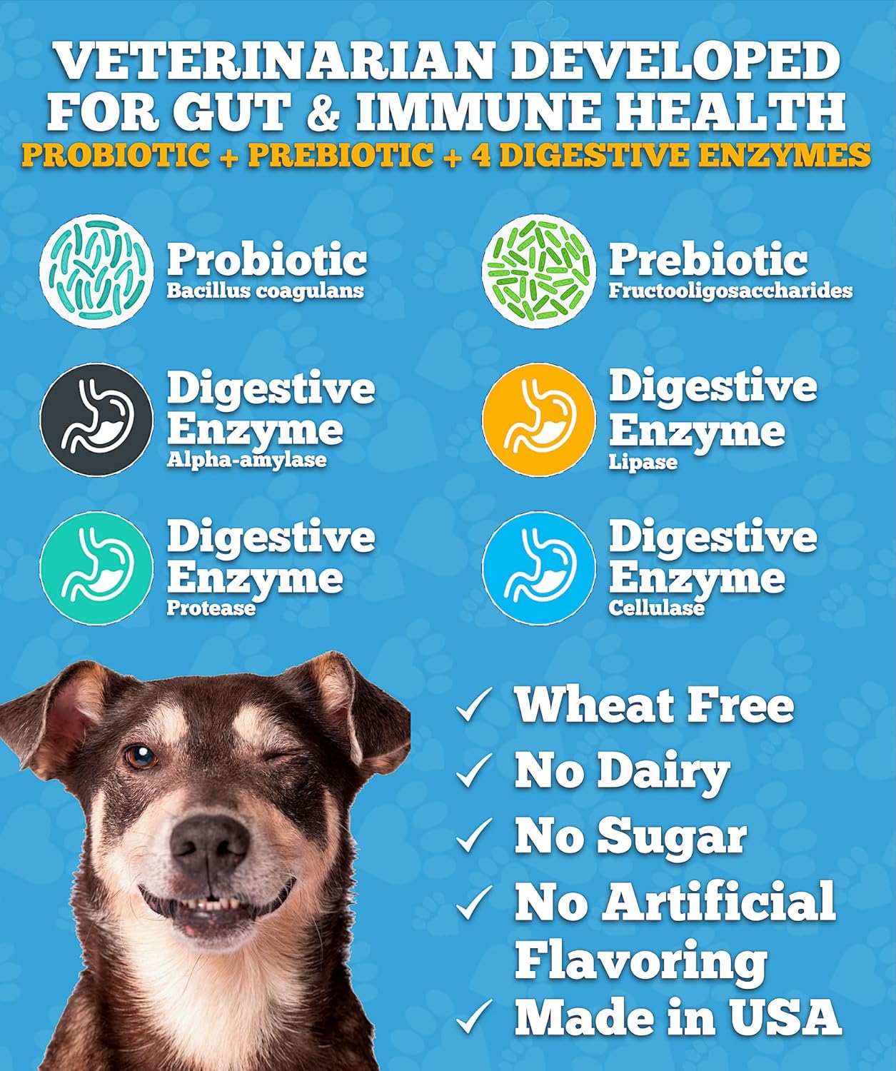 Probiotics for Dogs, Dog Probiotics, Made in USA, Vet Developed for Gut Health, Yeast Balance, Itchy Skin, Diarrhea & Gas Relief, Chews with Prebiotic & Digestive Enzymes, Digestive Support