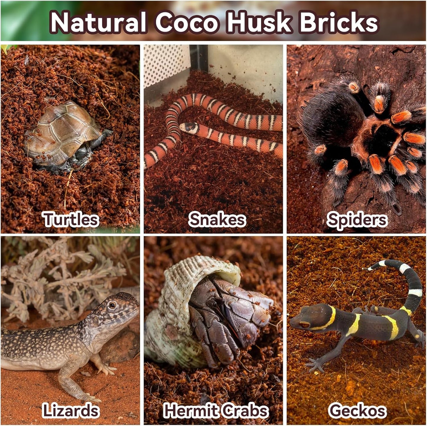 Legigo 2 Pack Compressed Coconut Fiber Substrate - 100% Organic Coconut Fiber Brick Bedding for Reptiles, Natural Coco Husk Substrate Terrarium Bedding for Snake, Hermit Crabs, Frogs, Tortoise, Gecko