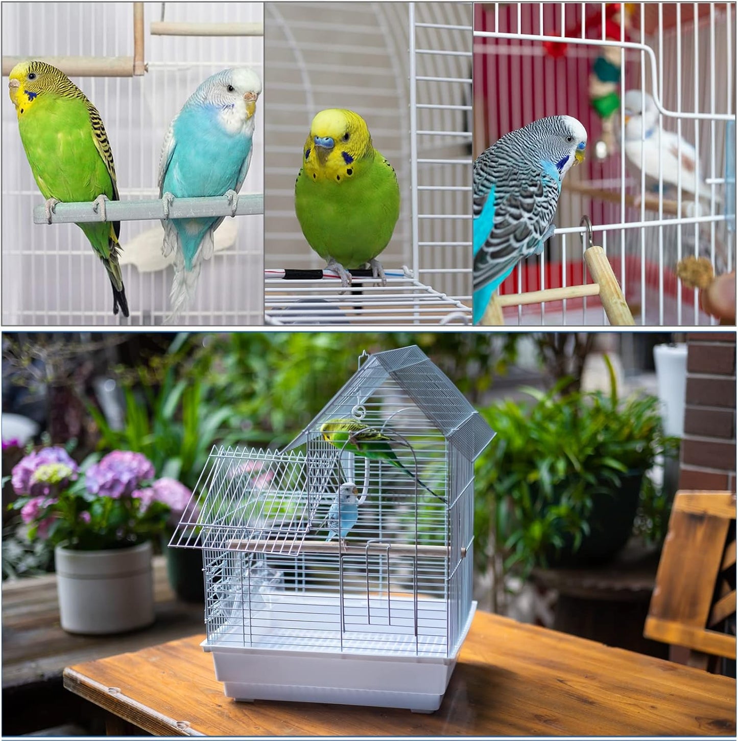 Small Bird Travel Cage - The Lightweight Small Birds Starter Kit with Birdcages and Accessories Great for Parakeets Lovebirds Parrotlets Finches Canaries