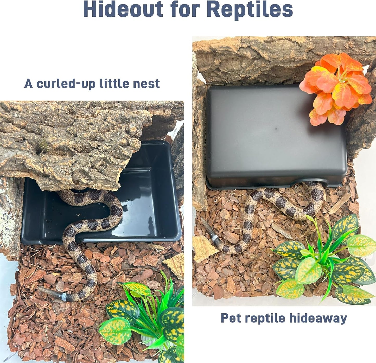Large 2 Pcs Humid Hideout Cave for Reptiles, Snake Hide for Ball Pythons, Gecko Hide, Leopard Geckos, Bearded Dragons,Compact Terrarium Decor with Easy-Clean Design (9.5"x6.7"x2.2")