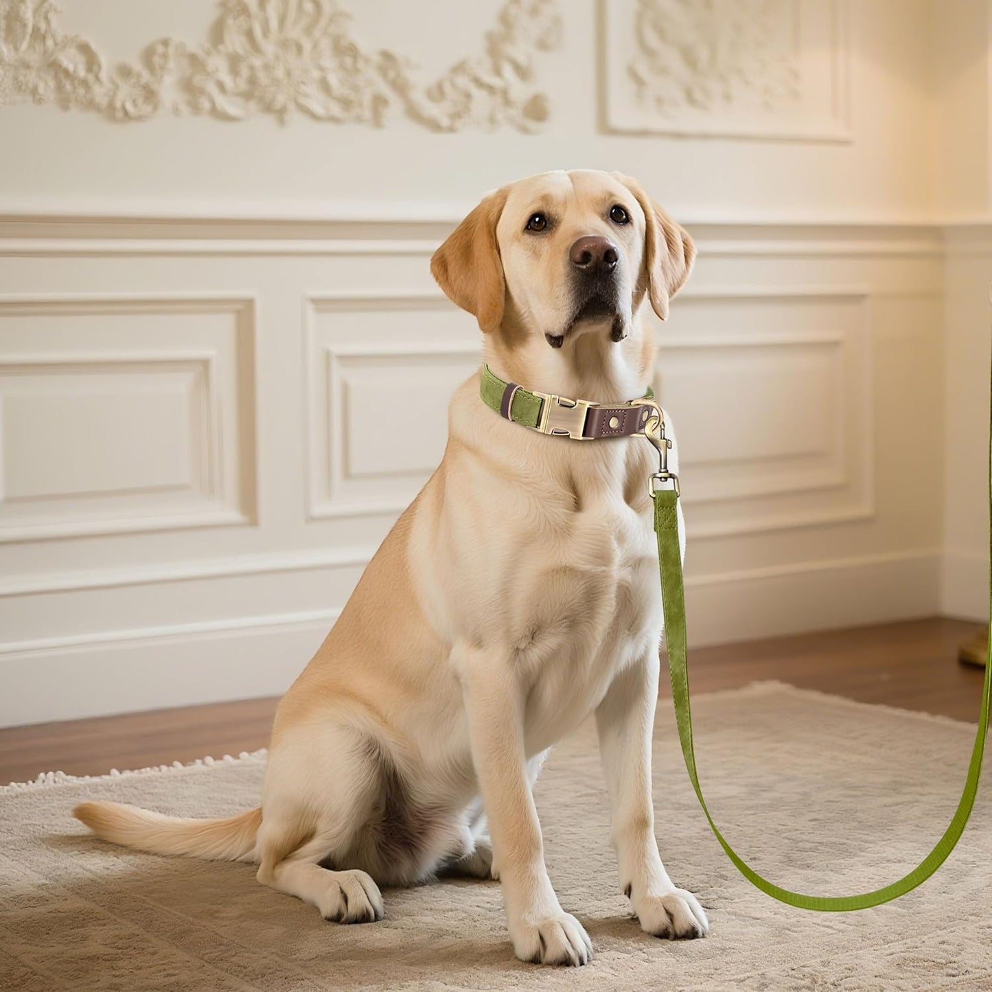 Didog Soft PU Leather Dog Collar for Large Dogs,Classic Adjustable Dog Collars with Quick Release Metal Buckle,Easy Clean and Comfortable with Nylon Lining,Olive Green,L Neck 15-23"