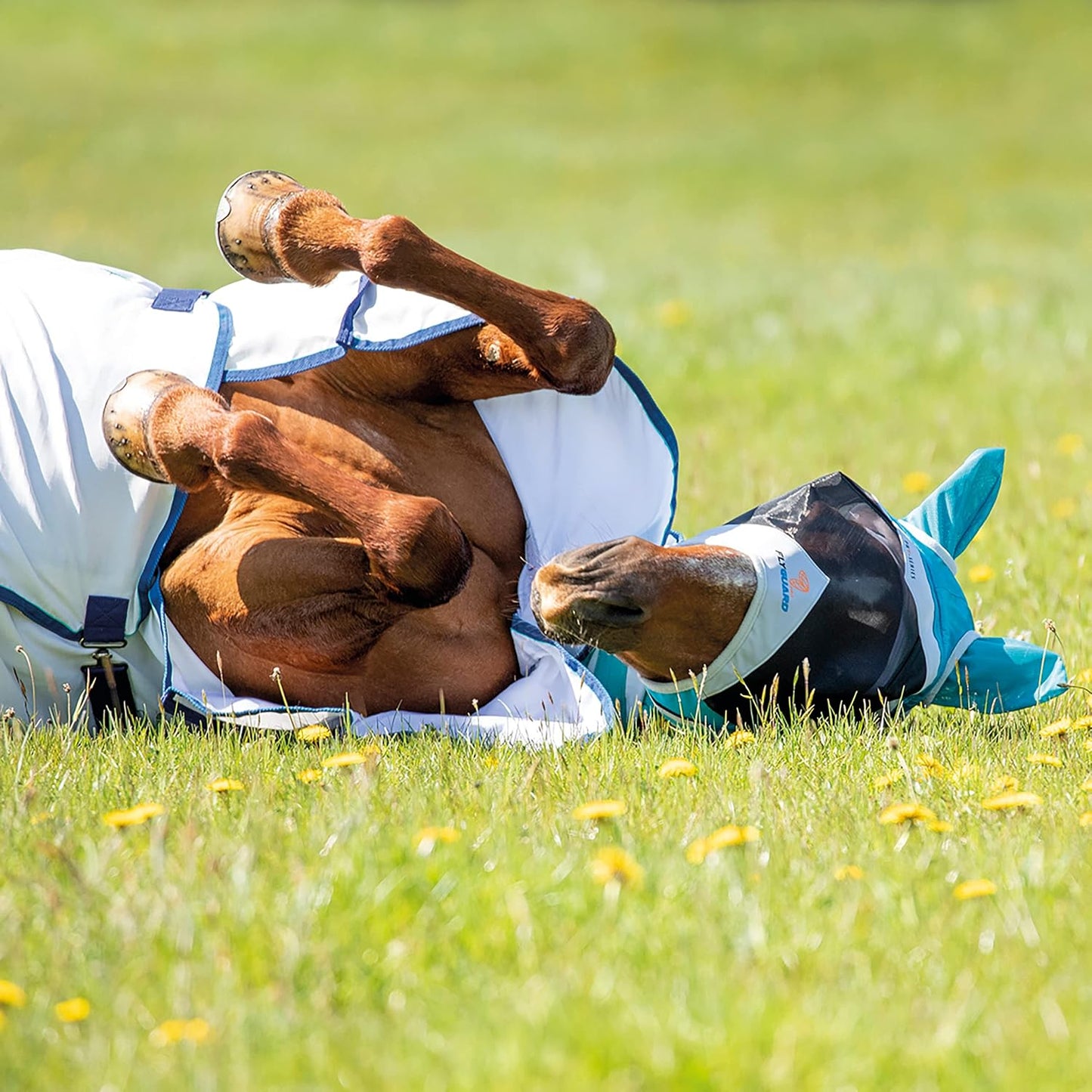 Shires Fine Mesh Horse Equine Fly Mask with Ears 60% UV Protection (Extra Full, Teal)