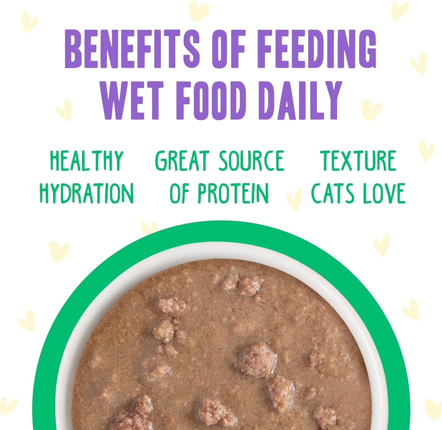 Weruva B.F.F. OMG - Best Feline Friend Oh My Gravy!, Chicken & Turkey Text Me with Chicken & Turkey in Gravy, 2.8oz Pouch (Pack of 12)