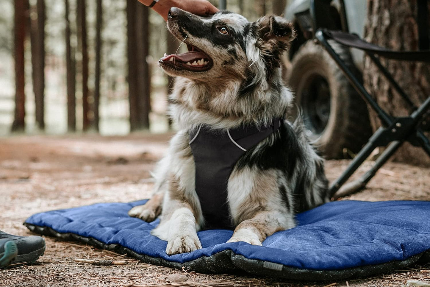 K9 Ballistics Tough Ripstop Dog Crate Pad - Durable & Machine Washable with Non-Skid Bottom and 120-Day Warranty, Fits 54" Wire Crates - XX-Large, Sandstone