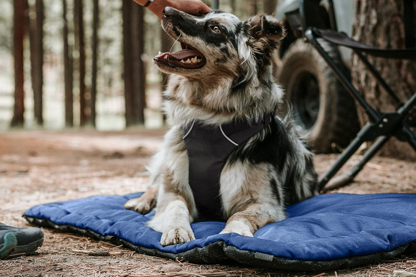 K9 Ballistics Tough Ripstop Dog Crate Pad - Durable & Machine Washable with Non-Skid Bottom and 120-Day Warranty, Fits 36" Wire Crates - Medium, Blue Quartz