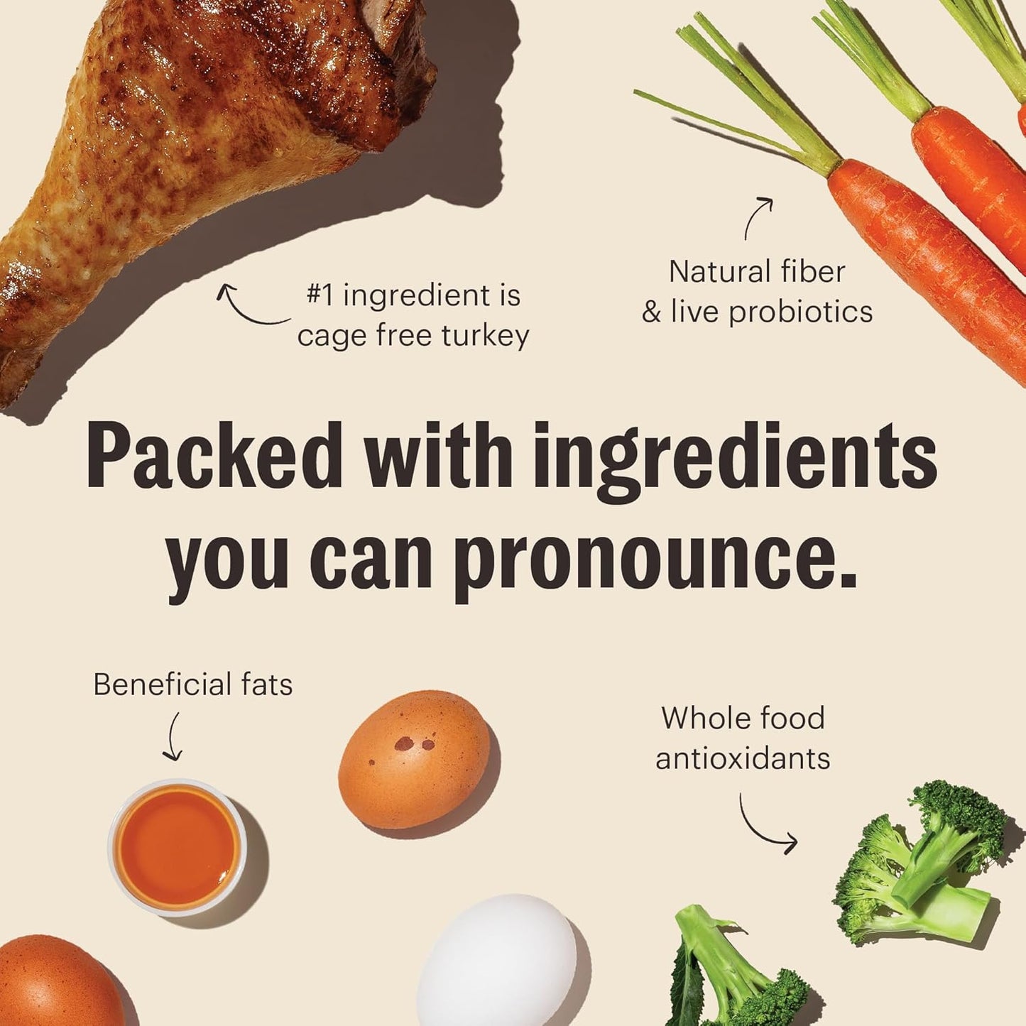 The Honest Kitchen Whole Food Clusters Human Grade Dry Dog Food - Grain Free Turkey 5 lbs