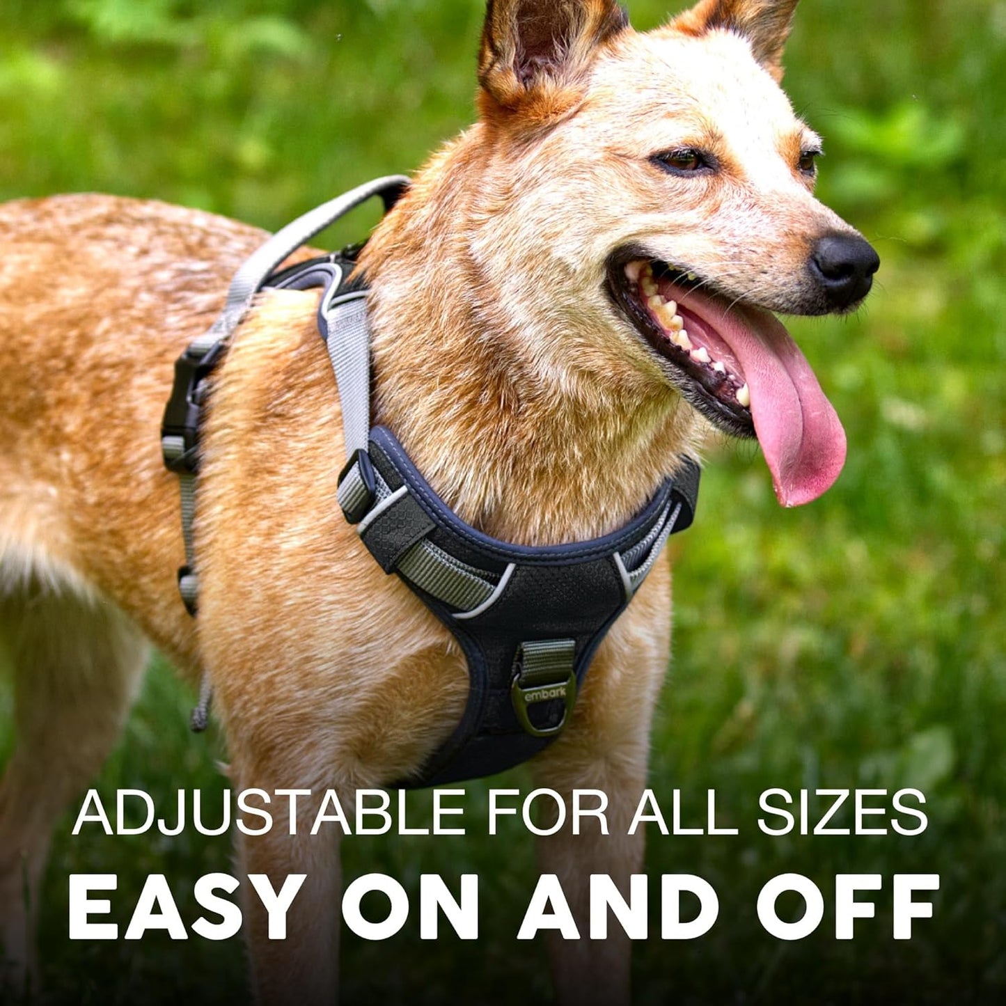 Embark Adventure Dog Harness, Reflective Trim No Pull Dog Harness Medium Sized - Military Grade Nylon, Front Clip with Gel Lined Handle. Soft & Padded Puppy Harnesses for Any Breed