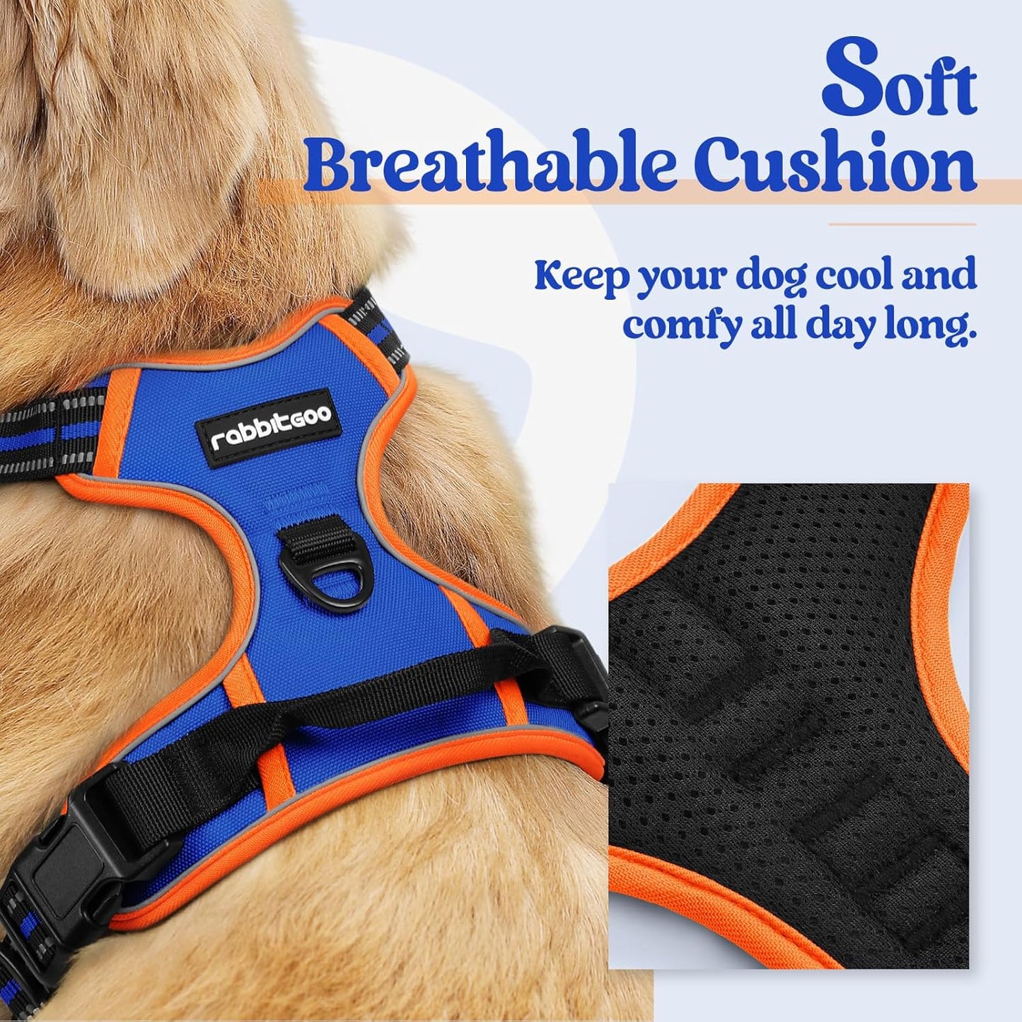 rabbitgoo Dog Harness No Pull with 2 Leash Clips, Adjustable Soft Padded, Reflective Oxford No Choke Pet Vest with Easy Control Handle for Small Dogs, Blue & Orange, S